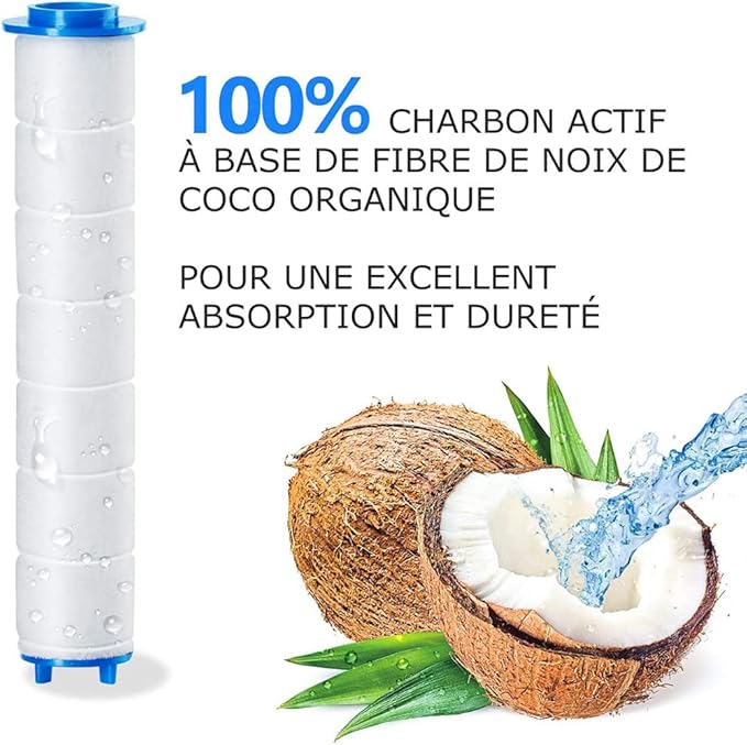 Filtre Remplaçable POUR LA POMME DE DOUCHE DERMA